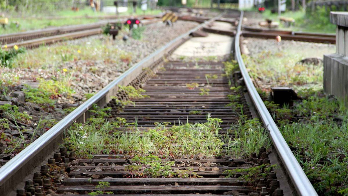 Leere Schienen, soweit das Auge reicht: Vor allem im Fernverkehr fielen in den vergangenen Tagen etliche Züge der Deutschen Bahn aus.