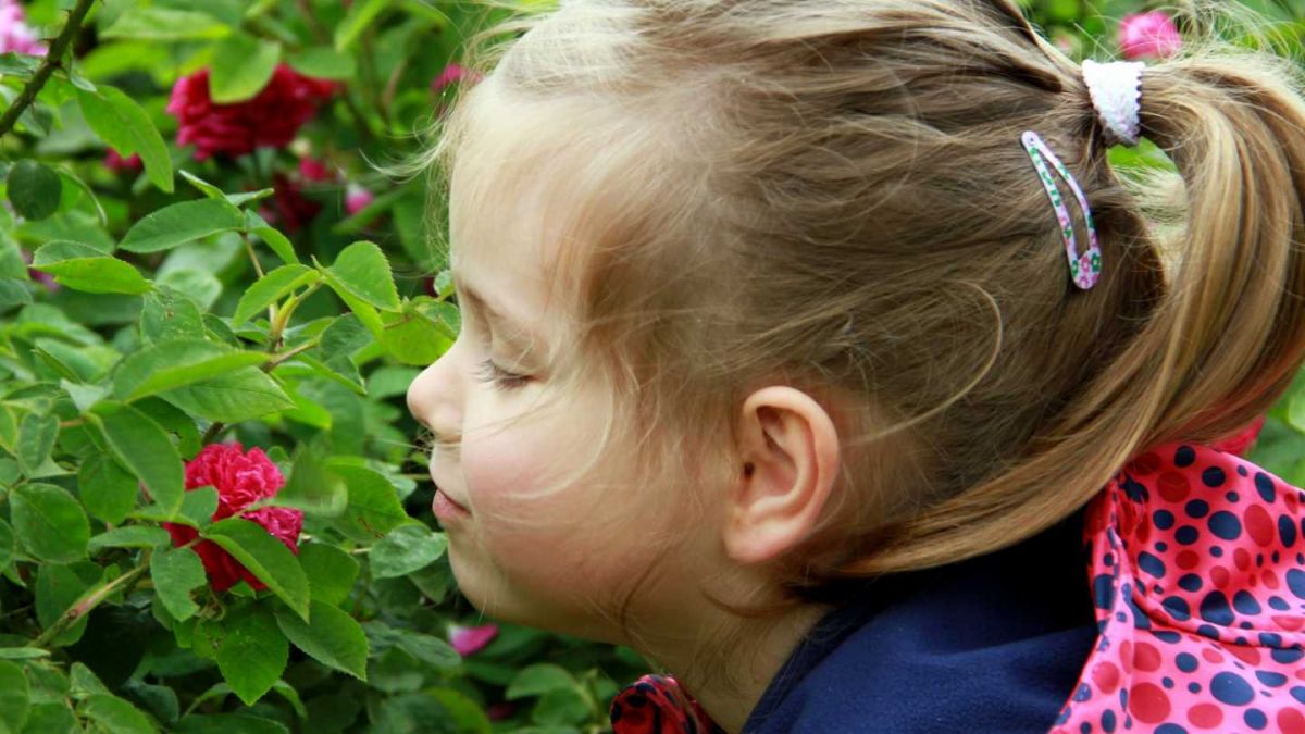 Das riecht aber gut: Enkelin Mia liebt es, an den Rosen zu schnuppern. von s: Kerstin Sauer