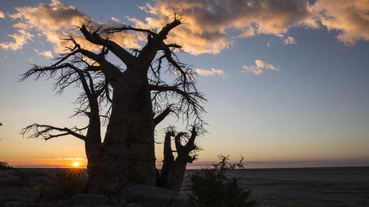 Sonnenuntergang in Botswana.