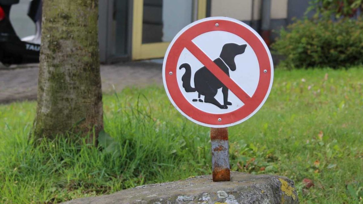 Die Hansestadt Attendorn appelliert an Hundehalter, den Kot ihrer Tiere zu beseitigen und die extra errichteten Hundestationen im Attendorner Stadtgebiet zu nutzen. von Symbol © Hansestadt Attendorn