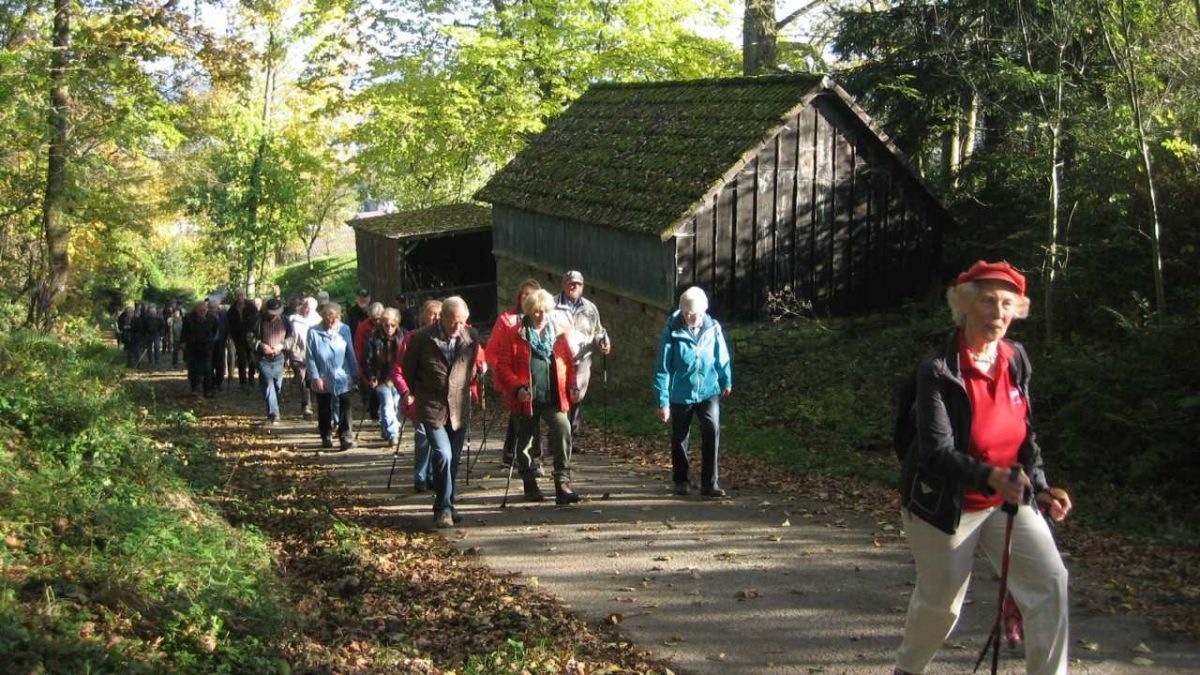 Bei herrlichem Herbstwetter wanderten die Senioren rund um Schönholthausen.