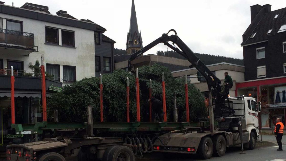 Der prächtige Weihnachtsbaum von Altenhundem: Einige Minuten später wurde er hoch gewuchtet. von s: Kerstin Sauer