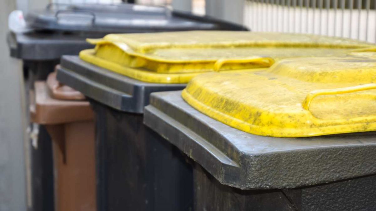 Die aktuell genutzten Mülltonnen für Rest- und Bioabfall bleiben bis Jahresende im Einsatz. von Sven Prillwitz