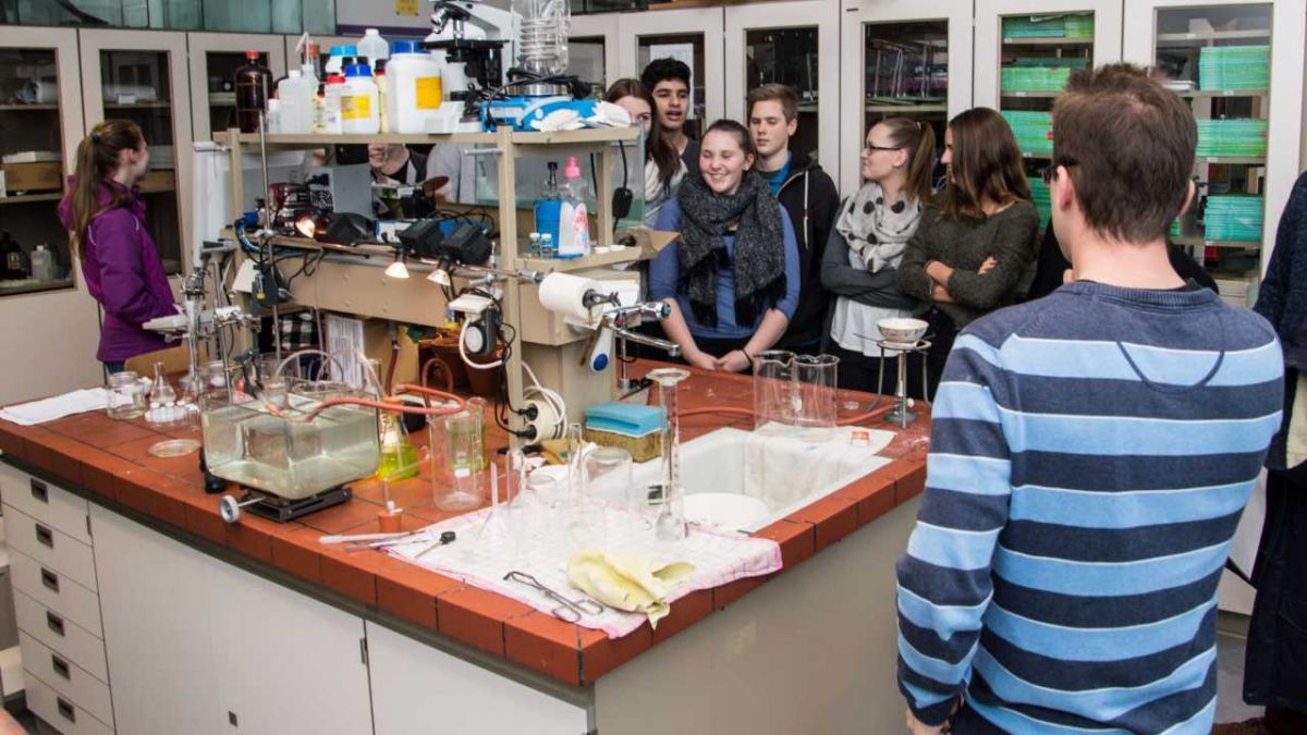 Die Schüler erkunden einen Teil des Biologiebereichs. von s: Nils Dinkel