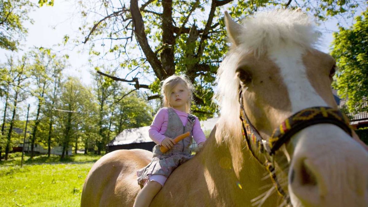Ein Beispiel für ein gelungenes Motiv zum Thema "Kinder". von Tanja Ewers, Sauerland-Tourismus e.V.
