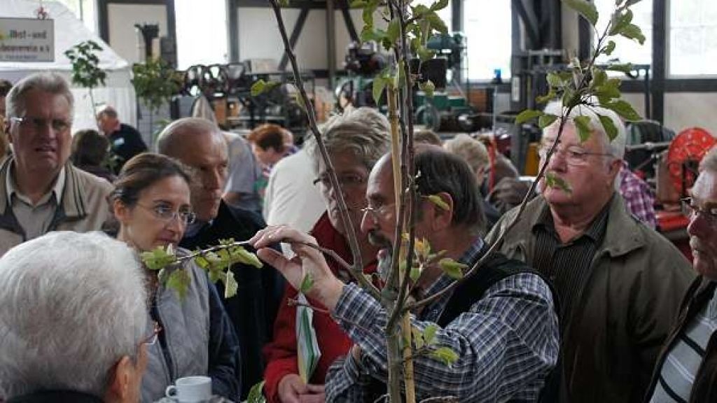 Wer seinen Obstbaum zur richtigen Zeit schneidet, kann mehr Früchte ernten. von privat
