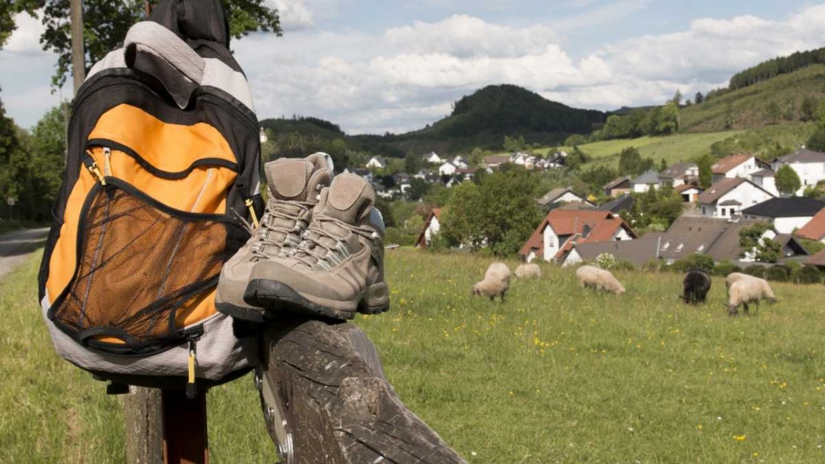  von Symbol © manu / lia