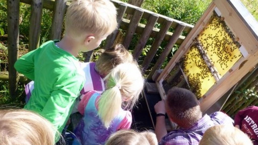 Sven Walkhoff erläutert den Mädchen und Jungen die Vorgänge im Bienenstock. von s: privat