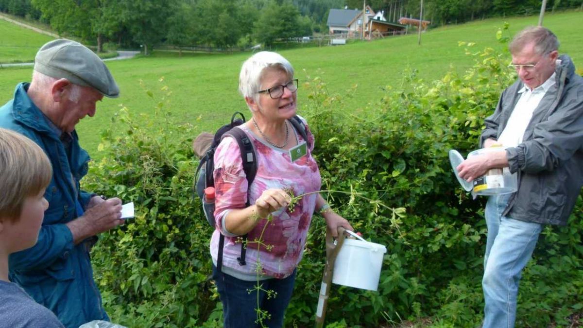 Naturpädagogin Liesel Kipp brachte den Teilnehmern heimische Wildkräuter nah. von s: Stadt Lennestadt
