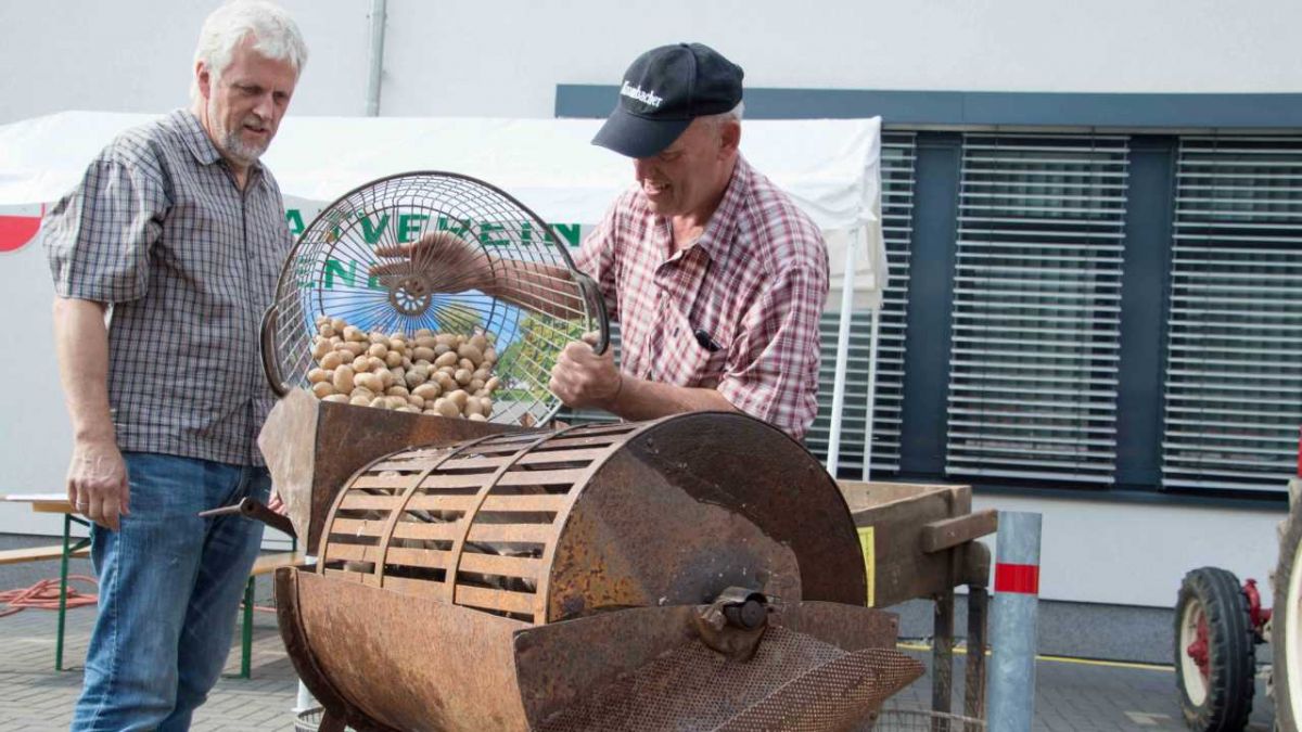 Der Heimatverein bietet selbstgemachte Dampfkartoffeln an. von s: Nils Dinkel