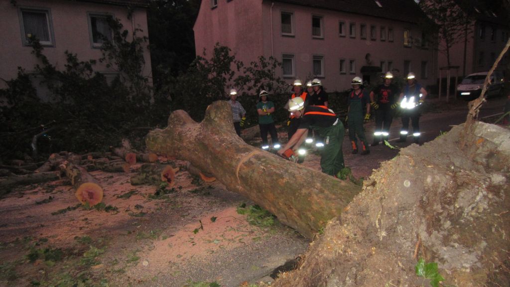 Mehr als 2000 Bäume wurden bei einem Sturmtief 2014 in Essen beschädigt und blockierten zahlreiche Straßen. von Barbara Sander-Graetz
