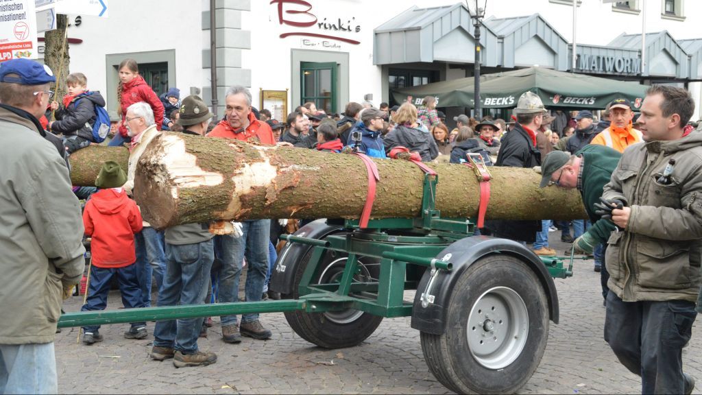 Tradition in Attendorn: Karfreitag werden die Bäume, aus denen die Kreuze für das Osterfeuer entstehen ausgesucht, am Karsamstag geschlagen. von s: Barbara Sander-Graetz