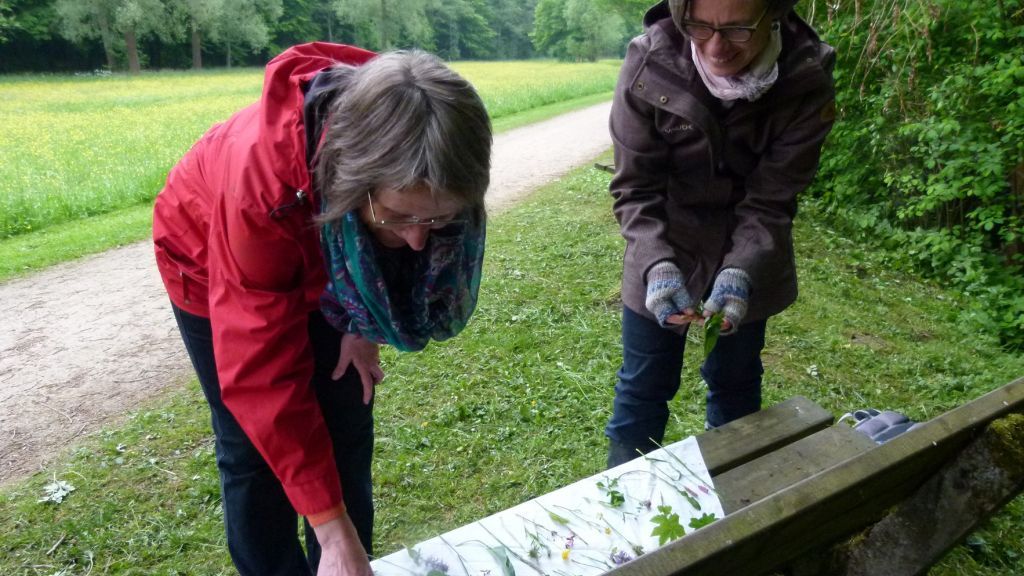Kräuterpädagogin Gudrun Hieber informiert beim Spaziergang über die Tier- und Pflanzenwelt. von privat