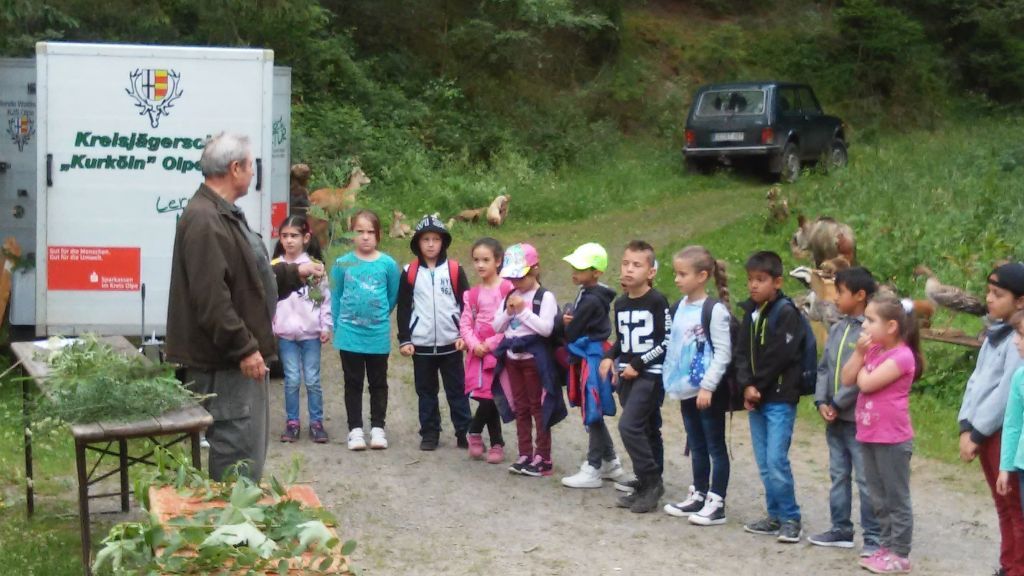 Jäger Günter Hupertz erklärte den Schülern die Tierwelt im Wald. von privat