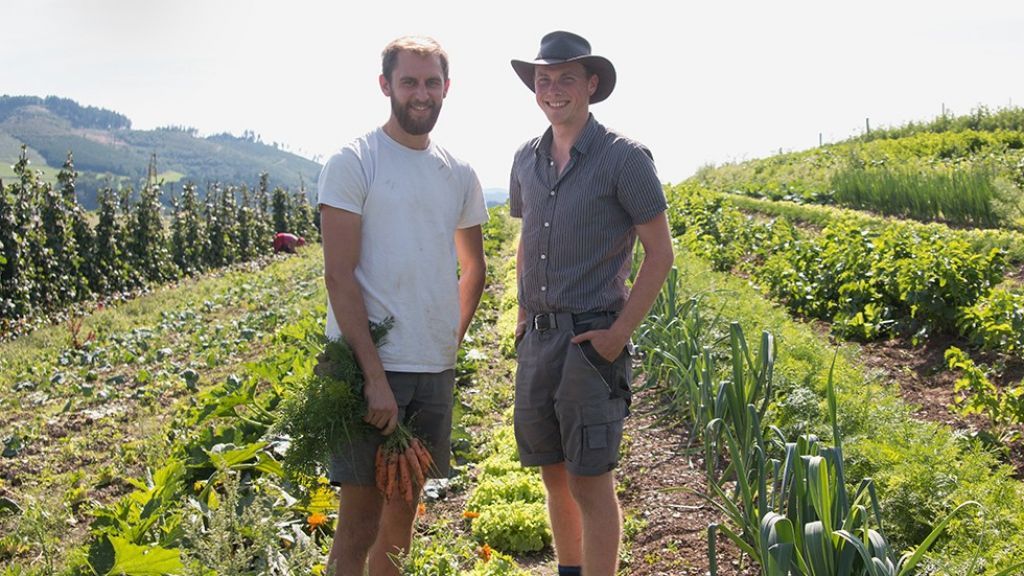 Jakob (rechts) und Sebastian sind durch das weltweite Netzwerk „Wwoof" auf dem Almhof in Elspe gelandet, wo sie auf dem Gemüsefeld arbeiten. von Christine Schmidt