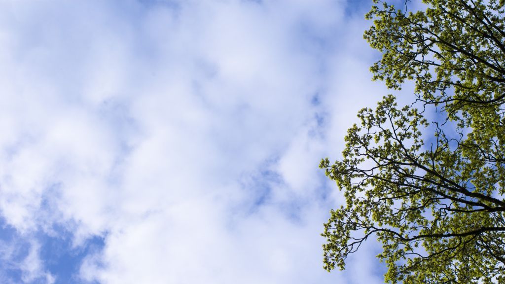  von Symbol Nils Dinkel