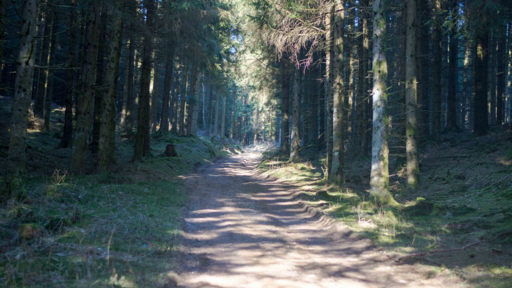  von Symbol Nils Dinkel