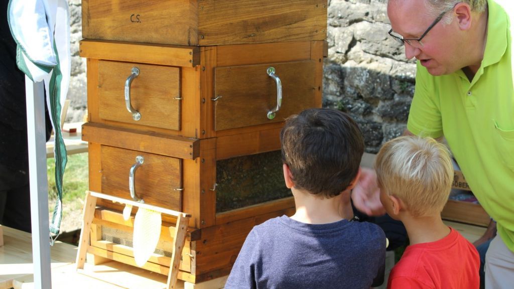 Die Besucher der 200-Jahr-Feier auf der Burg Bilstein konnten die Bienen in ihren Häusern bestaunen. von privat