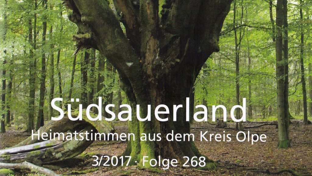 Das Titelbild von „Südsauerland“ zeigt eine der als Naturdenkmal ausgewiesenen über 200-jährigen Buchen auf dem Hollborn bei Schönau. von Antonius Klein