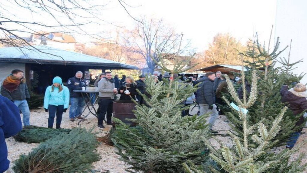 Die Jungschützen, die Blauen Funken und der Jugendtreff Schönau-Altenwenden laden zur Weihnachtsaktion ein. von privat