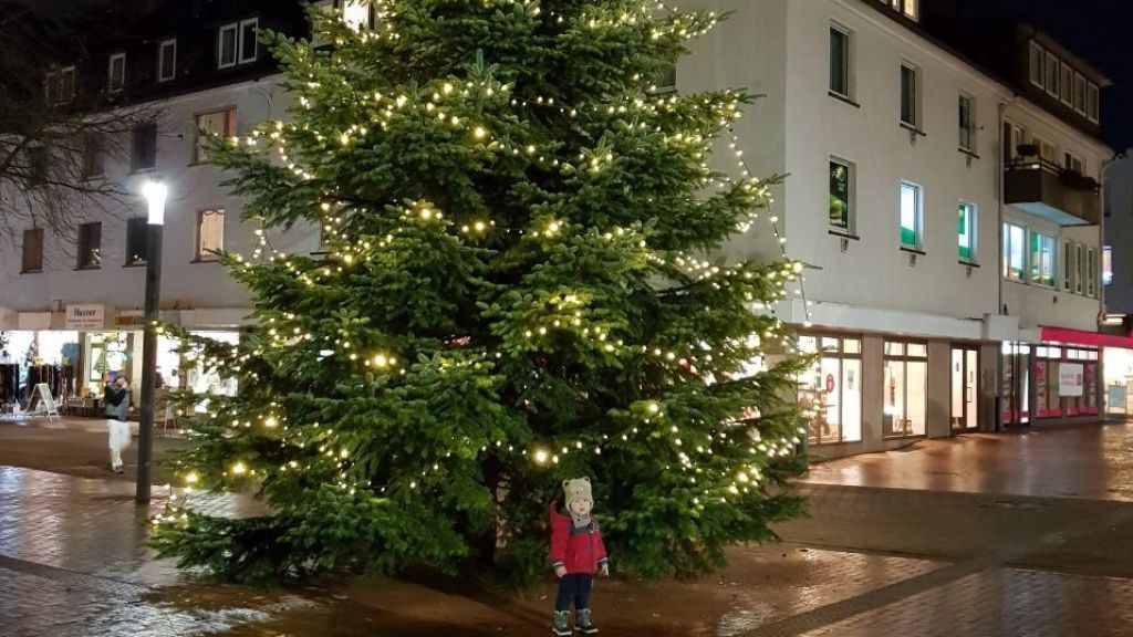 Fast schon ein Suchbild: Der kleine Jason vor der Riesen-Tanne. von Nicola Dörre