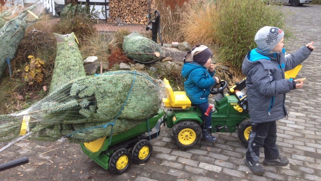 Fleißige Weihnachtsbaum-Abholer - mit Trampeltrecker und Anhänger kein Problem. von Verena Daus