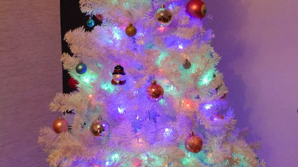 Normal kann jeder - daher ist der Weihnachtsbaum in der Mädels-WG von Sarah Picker etwas verrückter. von Sarah Picker