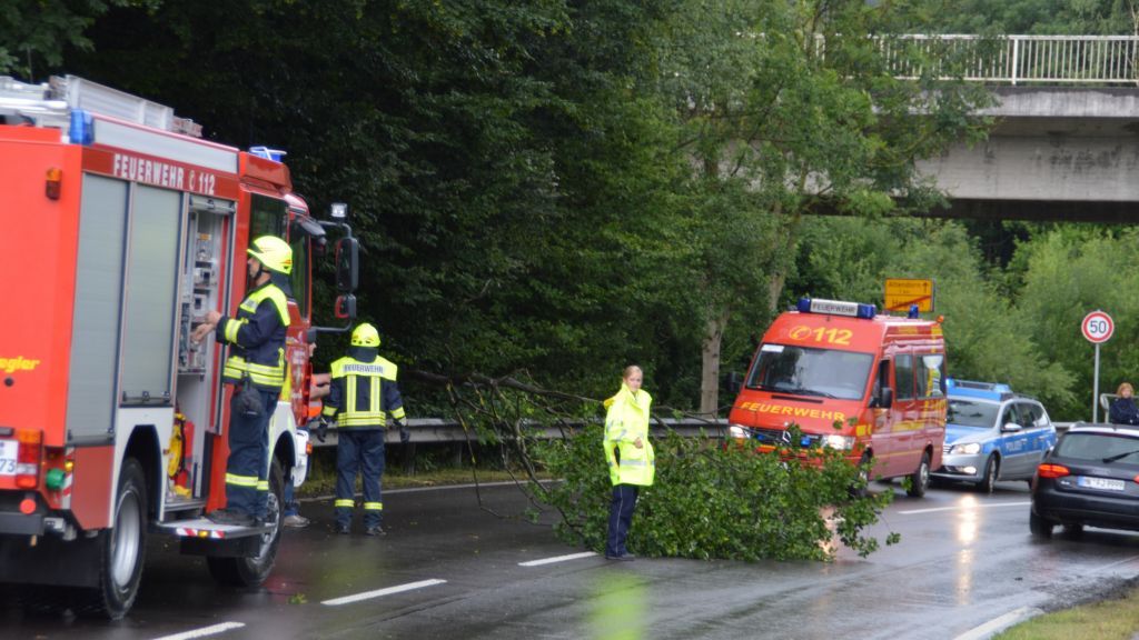 Bäume auf der Straße waren der häufigste Einsatzgrund für die Feuerwehren der Gemeinde Wenden. von Symbol Barbara Sander-Graetz