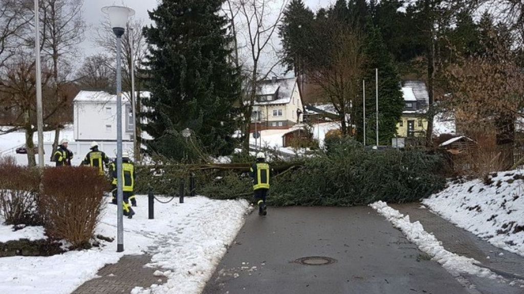 Die Feuerwehren waren vor allem damit beschäftigt, umgestürzte Bäume  wegzuräumen (hier in Drolshagen). von Feuerwehr Drolshagen