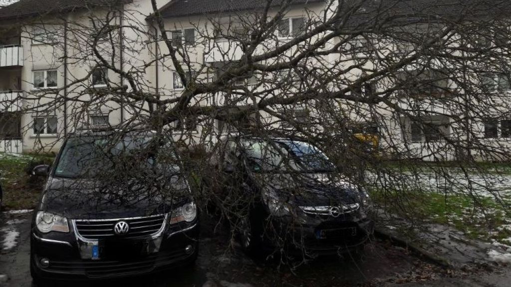 Im Ortsteil Schwalbenohl wurden parkende Autos durch umgestürzte Bäume beschädigt. von Feuerwehr Attendorn