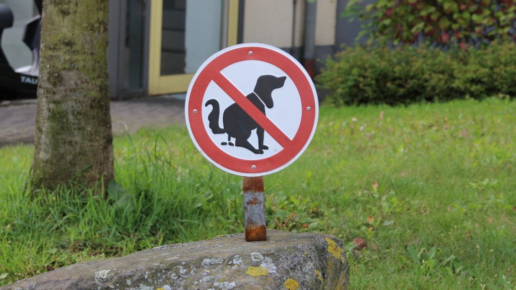 Hier bitte kein Hundekot: Ein Verbot, das laut CDU-Fraktion immer wieder missachtet wird. von © Hansestadt Attendorn