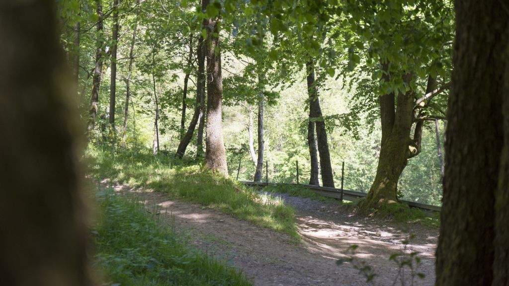  von Symbol Nils Dinkel