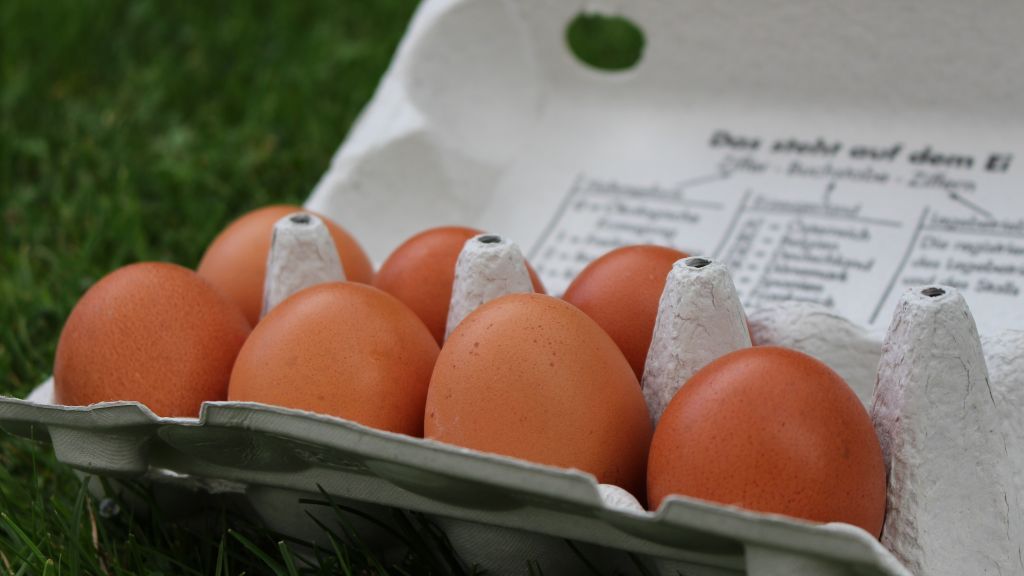 Gefärbte Eier können aus aus Käfighaltung stammen. von Symbol Patricia Korn