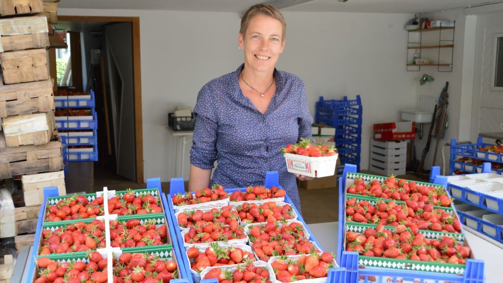 2018 wird ein Erdbeer-Jahr: Die Bedingungen seien optimal, sagt Expertin Eva Korte. von Barbara Sander-Graetz
