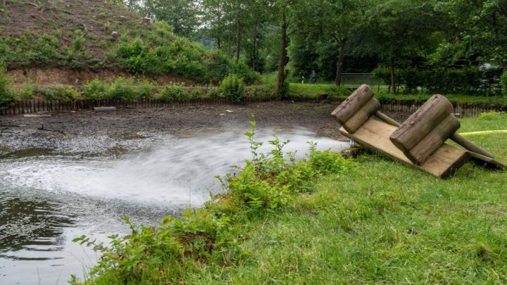 Arbeitseinsatz gegen Fischsterben in „Ruhrmanns Teich“