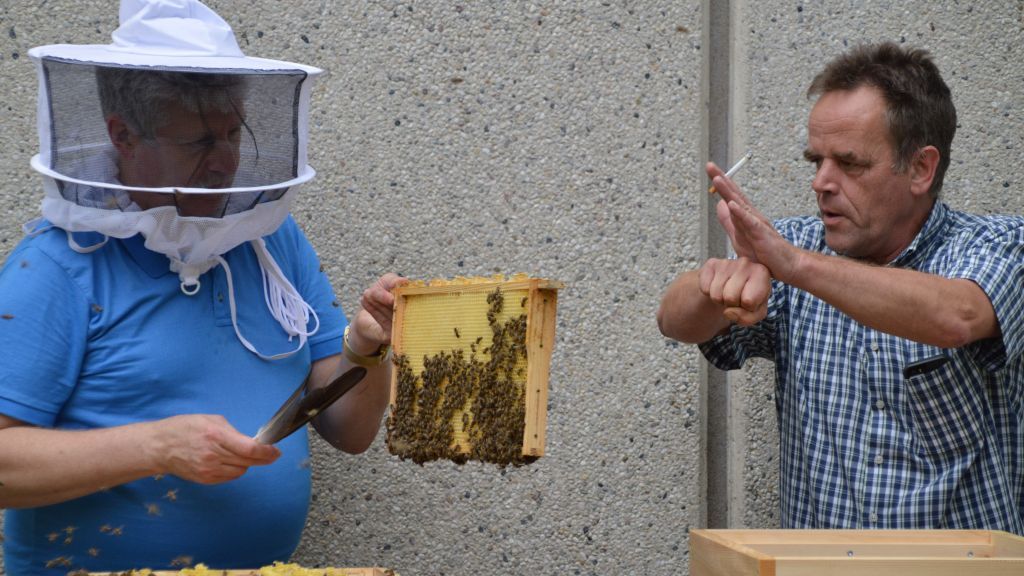 Bienensachverständiger Michael Höffer (recht) gibt noch letzte Anweisungen, bevor die Waben gezogen werden. von Barbara Sander-Graetz