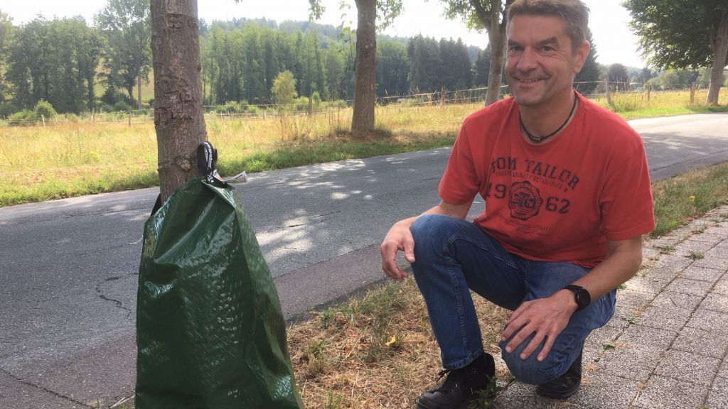 Wassertaschen für Jungbäume: Was unspektakulär aussieht, ist nach Angaben von Bauhof-Chef Michael Niklas ungemein effektiv. von Sven Prillwitz
