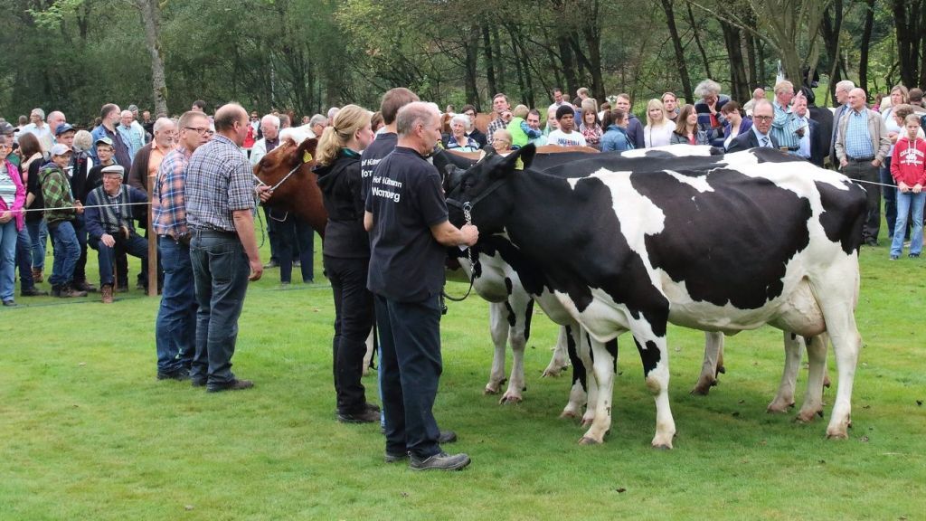 Das Ernte- und Tierschaufest findet im September in Drolshagen statt. von privat
