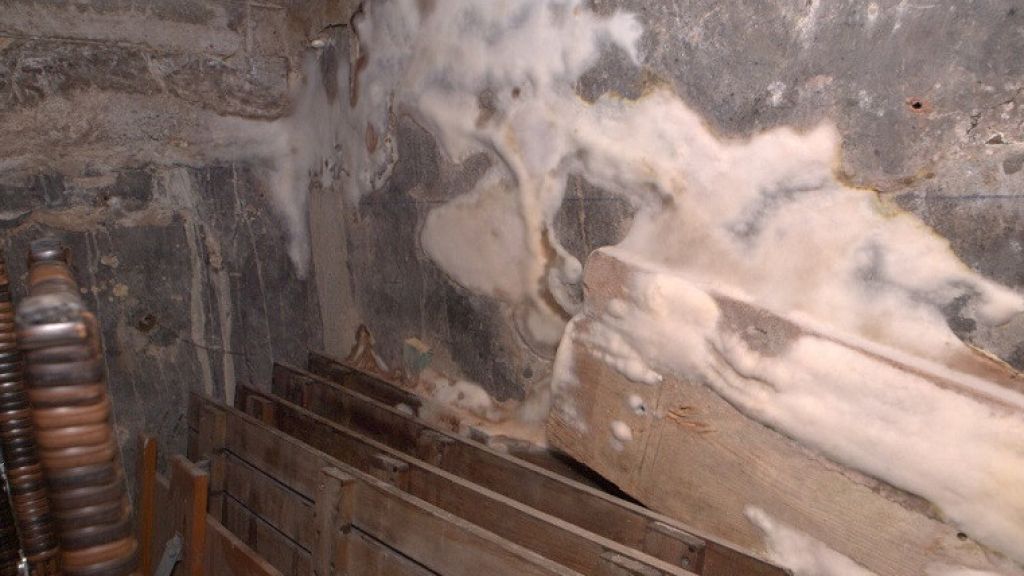 Bei Schimmelpilz-Befall und Befall durch holzzerstörende Pilze sollte dringend ein Fachmann hinzugezogen werden. von Sachverständigenbüro Wolfgang Maasjost GmbH