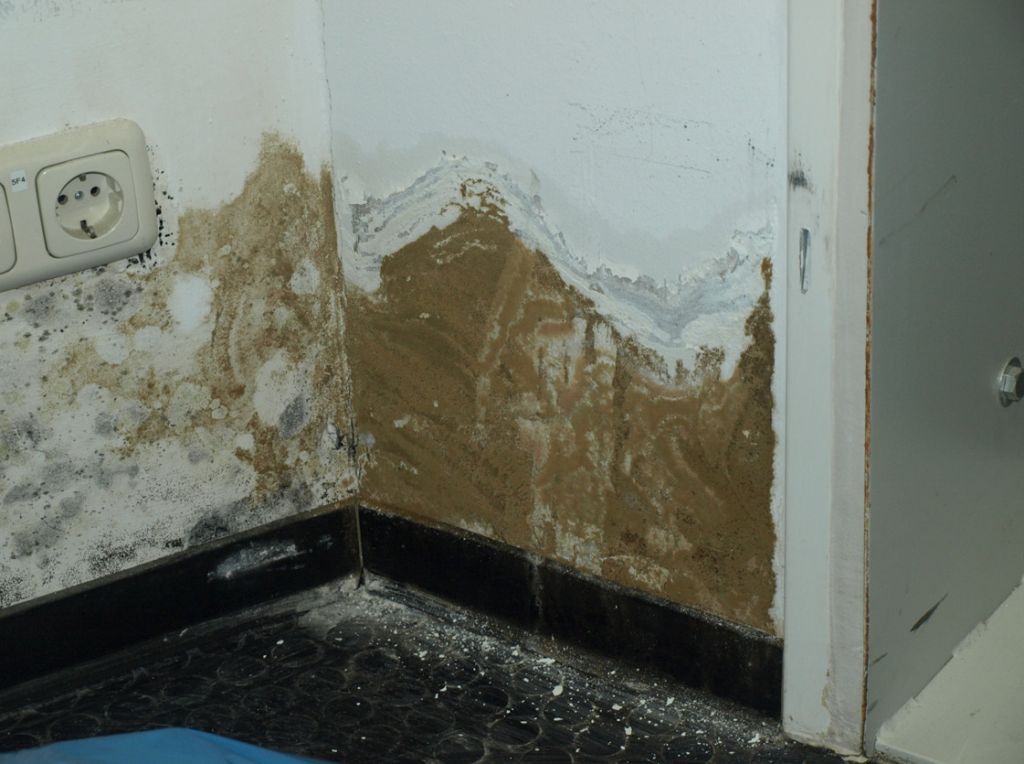  von Sachverständigenbüro Wolfgang Maasjost GmbH