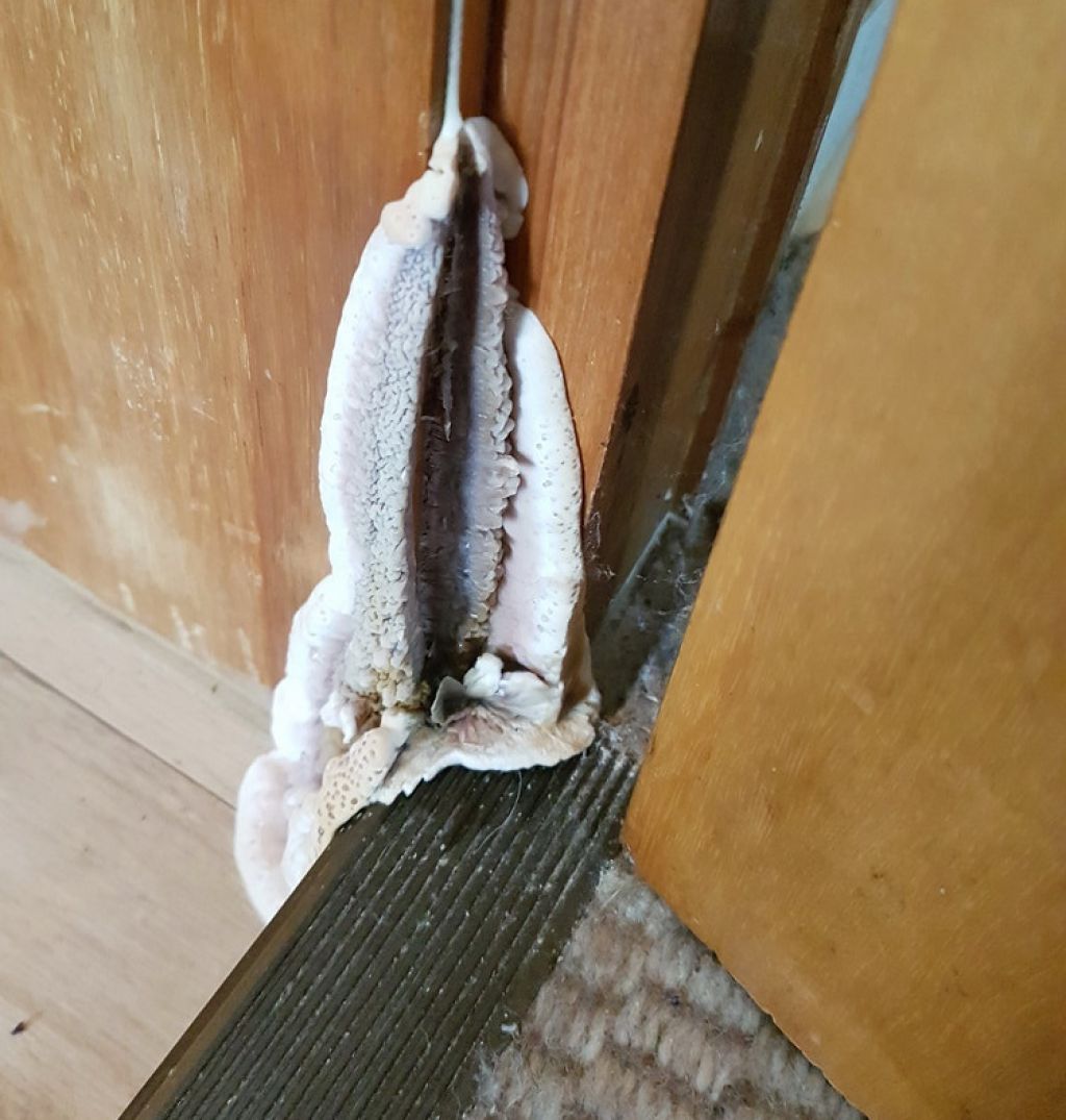  von Sachverständigenbüro Wolfgang Maasjost GmbH