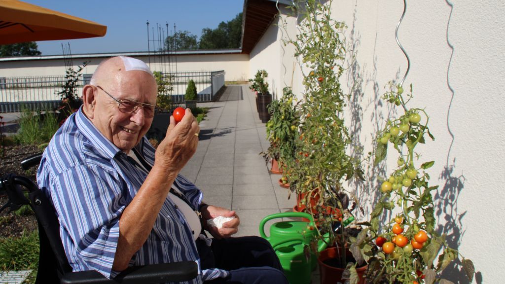 Tomaten, Paprika und Beeren konnten die Senioren dieses Jahr ernten. von privat