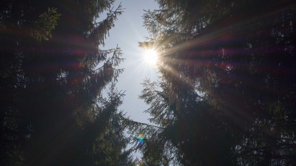  von Symbol Nils Dinkel