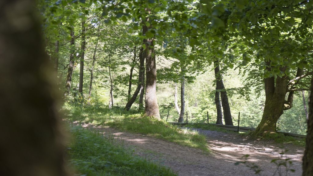  von Symbol Nils Dinkel