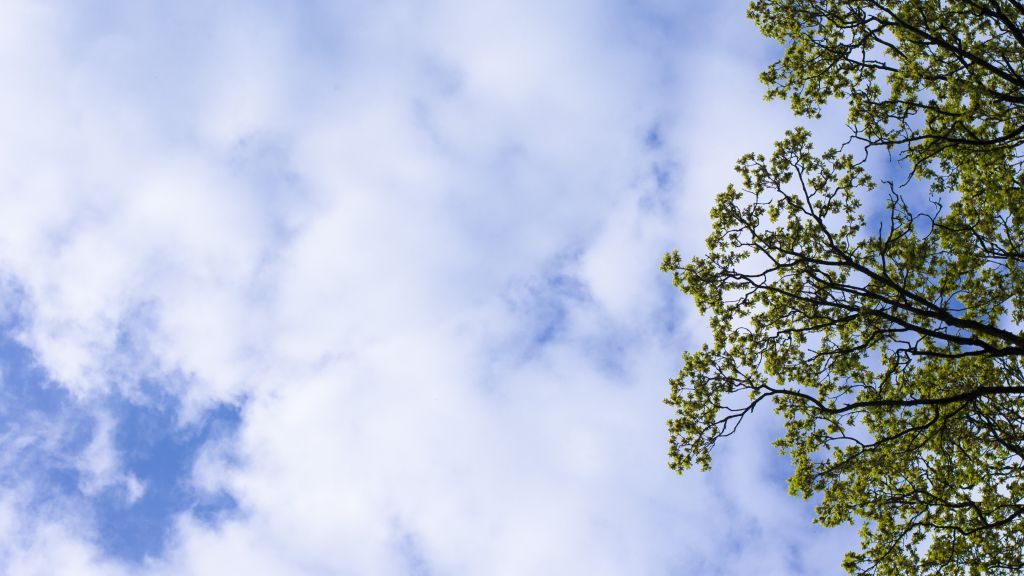  von Symbol Nils Dinkel