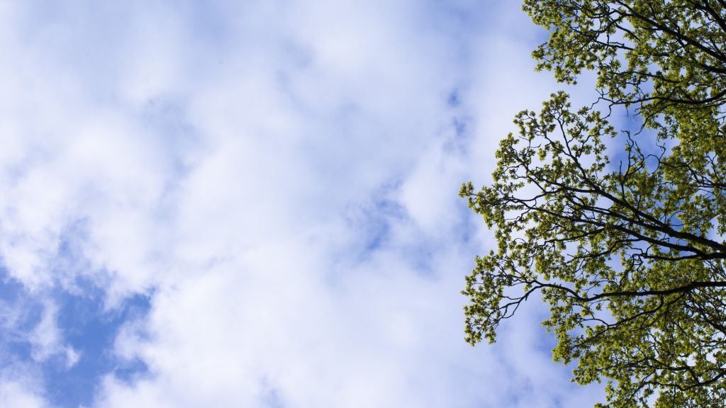  von Symbol Nils Dinkel