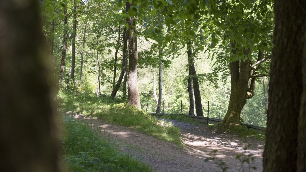  von Symbol Nils Dinkel