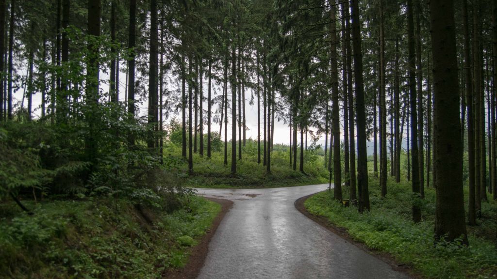  von Symbol Nils Dinkel