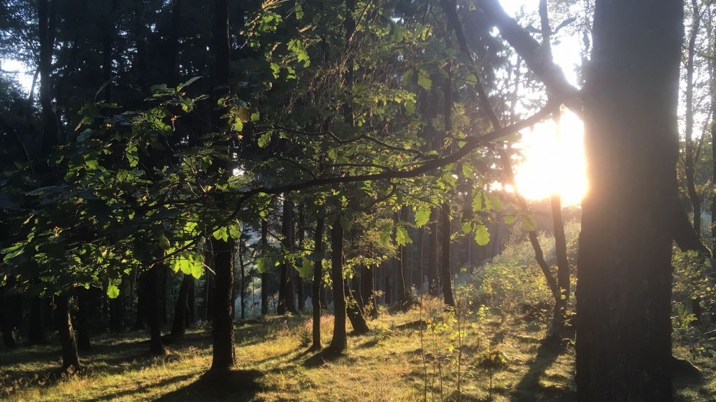  von Symbol Sven Prillwitz