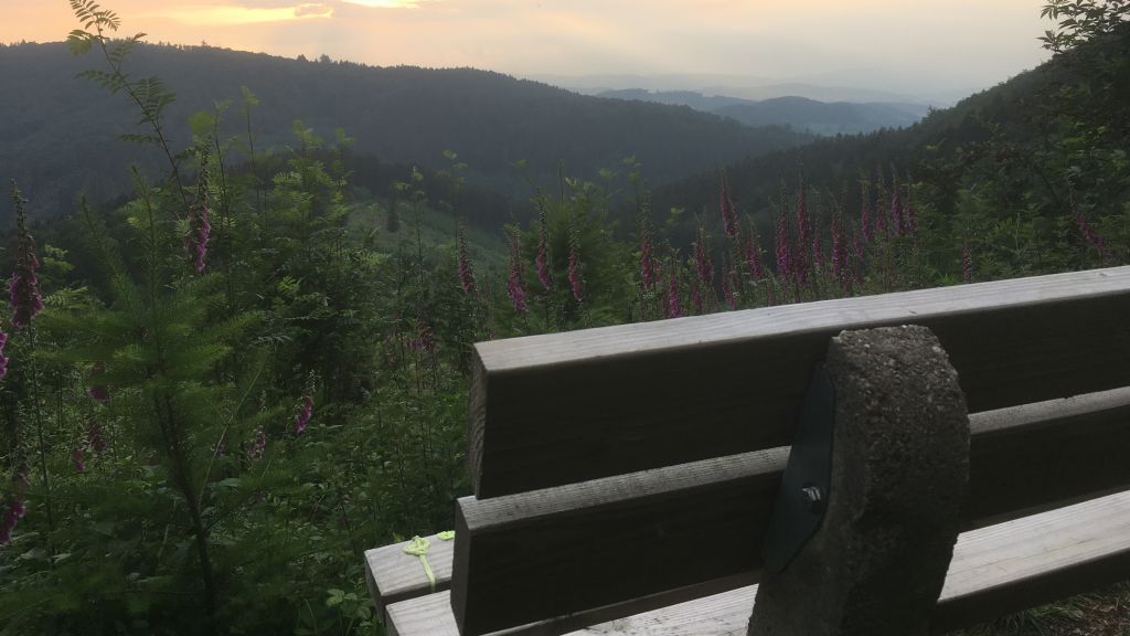  von Symbol Sven Prillwitz